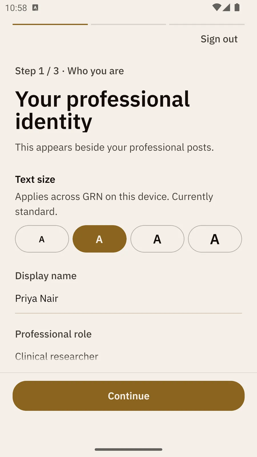 Step 1 of 3 of the setup, Your professional identity, with a Text size row of four A buttons (Standard selected), a Display name box and a Continue button.